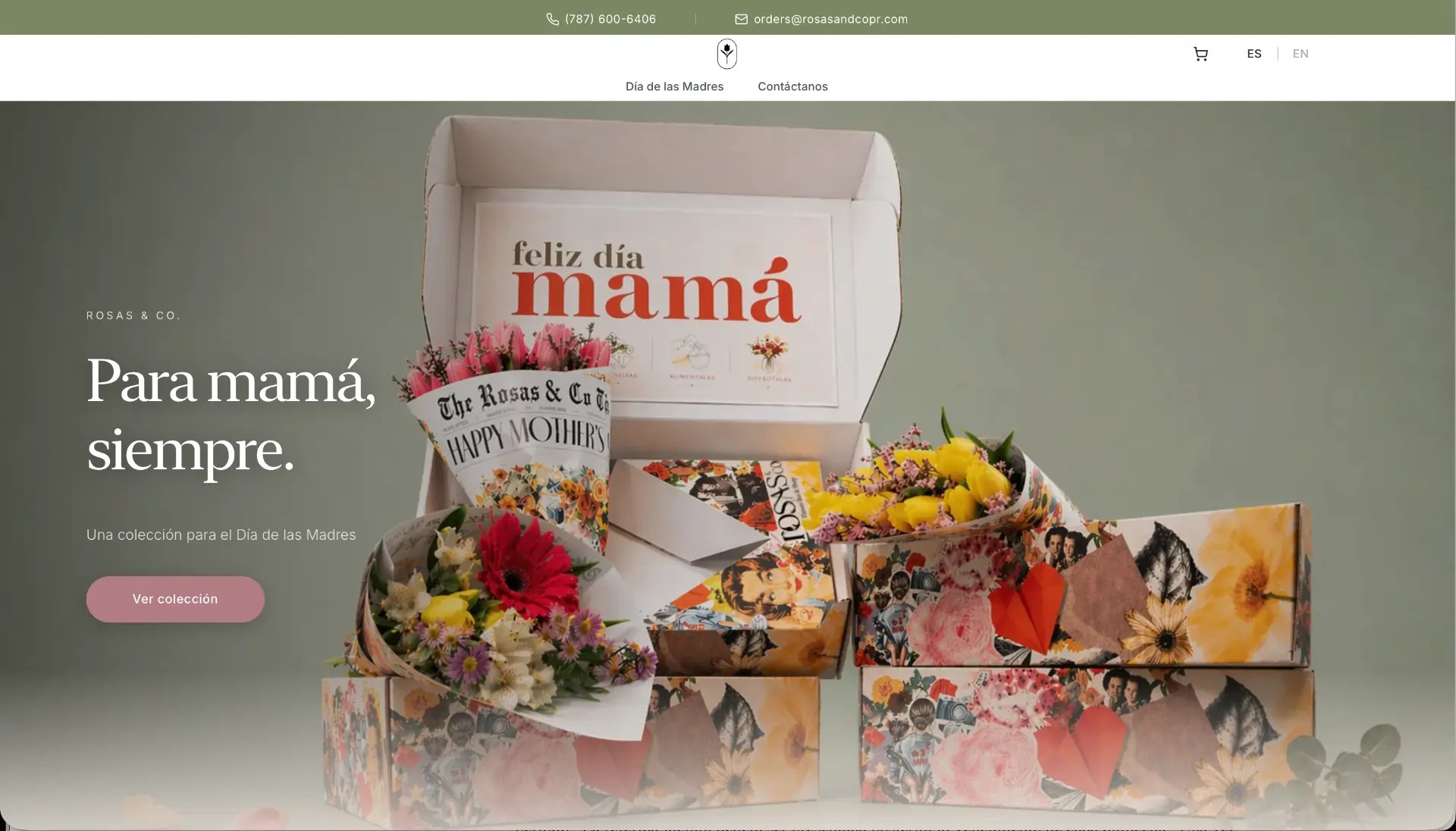 Rosas & Co. website homepage